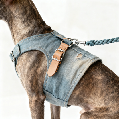 🐕 Make Every Walk A Beautiful Moment Of Connection