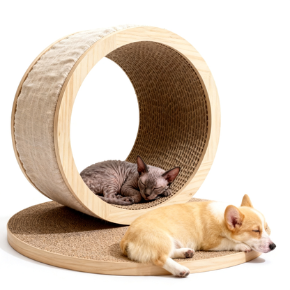 🌀 Let Your Cat Follow Its Instincts And Turn Home Into A Natural Playground